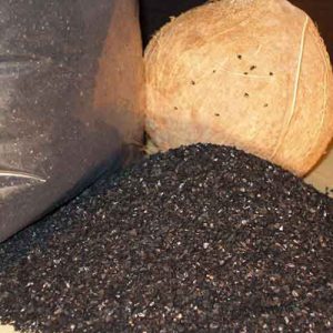 Than Gáo Dừa Lọc Nước - Than Sạch Trường Sang